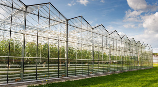 安陽(yáng)市五洲農(nóng)業(yè)科技有限公司